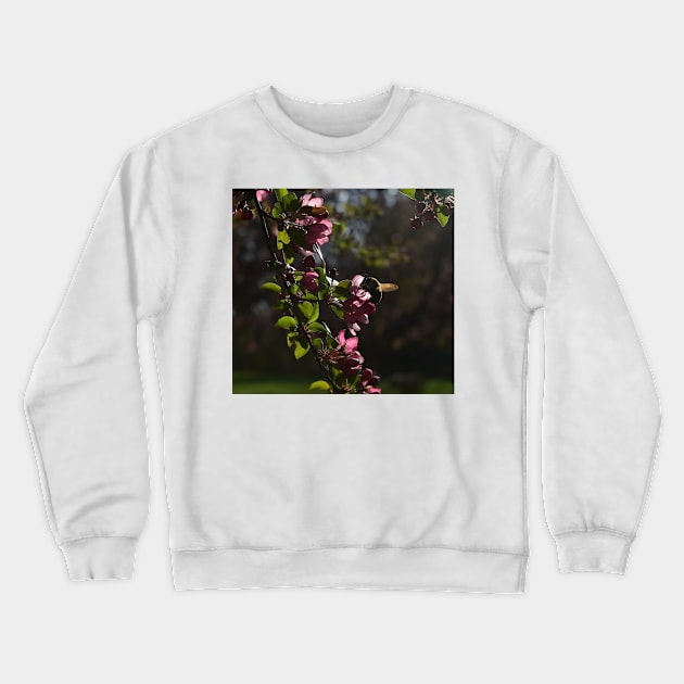 Springs happy moments Crewneck Sweatshirt by JrBrad Photography 